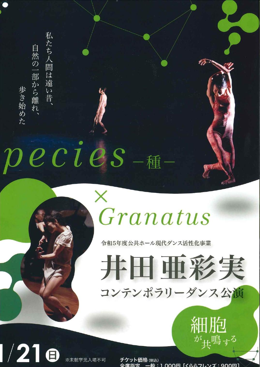 井田亜彩実 コンテンポラリーダンス公演　pecies－種－×Granatus